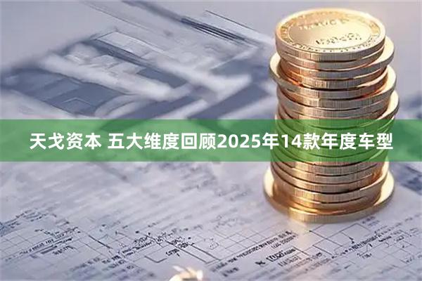 天戈资本 五大维度回顾2025年14款年度车型