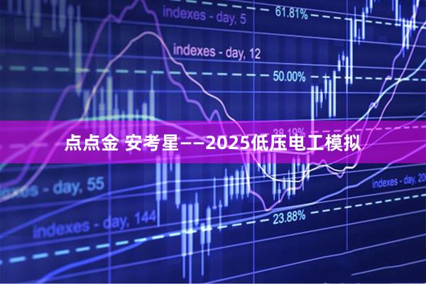 点点金 安考星——2025低压电工模拟
